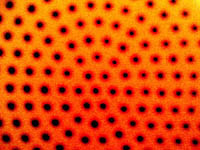 FM3's Buddha Machine