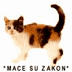 *MACE SU ZAKON*