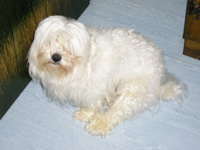 Bonny u neosisanom izdanju