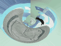 Filter: polar coordinates