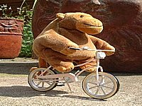 ukler uk agsrkgsk g asrhk.g<h kasdgghkgh�zio� aerwgfuio a�srguiogaruiogu