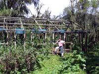 KUCA U KOJOJ JE ZIVJELA DIAN FOSSEY