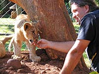 Robi u kavezu s malim lavi�em