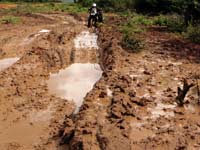 U MOM SELU NIKAD BLATA - SAMO SADA I KAD KI�A PADA