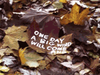 One day a big wind will come...