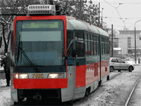 bratislavski trajvan