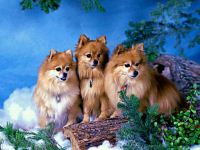 ovdje je ba� vru�e!A kod vas?