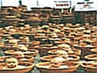 lon�i�i klon�i�i