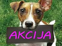 UZMI AUTO ZA MALO KUNA