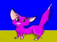 �budimo glupi zajedno hajde samo malo�