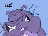 � ma�ak mijau �