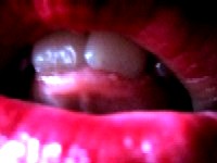 and i lick lick lick it and damn it tastes fine