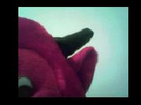                                                           `               @                                                               `               `                               `               `                                               `