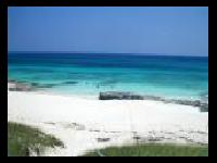 Za moje �iben�ane jedna...