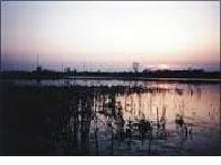 Gajna, za�ti�eni krajolik