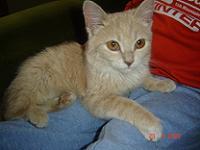 mali �uro kad nam je tek do�ao