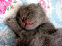 E to bi ja radio           0               0               �               �                               �               0               �               �                                               �                               �               �