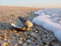 mooore, mooreee...ti si najljep�i za me kraaaaj...