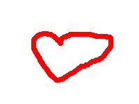 Slika srca pravog srceka