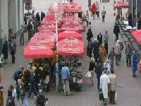 slika moje jedine gradurine