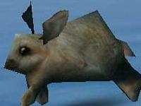 slika male zekine trke