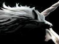 slika hrabre bijele nade