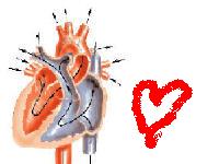 slika jedne stare mislililili