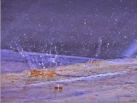 ovo je fotografija mog dragog prijatelja, ide uz trenutno mi raspolo�enje