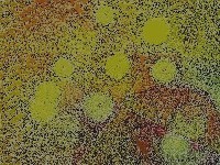 Vidjeti je i druga�ije