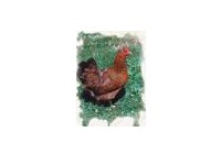 U ono vrijeme slike su rijetkost bile, a ovo sam s Googlea skinul (posudil)