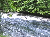 Tebe slu�ati �u �ivotom svojim ...