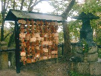 rije�i na papiri�ima - du�a tra�i put ...