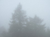 Kao u magli istina se skriva ...