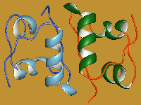 Il je, il si zami�ljamo tak inzulin