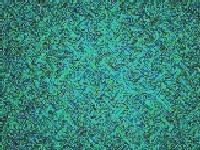 .. van prostora i van vremena ...