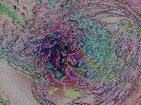 stvarali smo sami ...