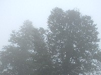 .. nekak je sve povremeno bledo ...