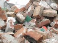 ...kak rasute cigle ...