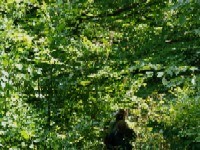 ... a u svijeta raznolikosti !!!