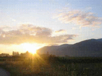 sa�uvajmo suncu �ivot na zemlji