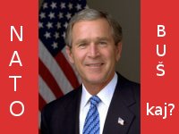 Bush in zagreb, Croatia