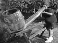 Prilikom izrade ovog posta, kori�teno je mnogo biljnih preparata...:)