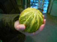 boja maslinasto zelena to me podsjeca . .