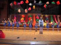 Slika sa nastupa u dvorani Lisinski