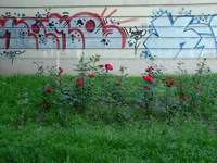 Slika iz na�e okolice na zidu ku�e