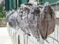 Su�enje ribe na suncu i vitru