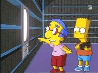 Poetkom 80-ih Matt Groening je kreirao virtuelnu porodicu i smjestio je u fiktivni gradi Springfield. Porodica broji pet lanova koji e ukratko biti predstavljeni. Homer je otac i mu kome je broj cipela vei od IQ, a radi u nuklearnoj elektrani :). Gl