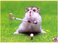 Ovo j emoja il' Ivina hr�kica!