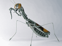 Fenomenalne metalne strukture