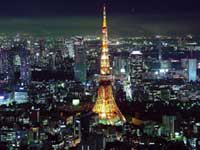 Wild nights in Tokyo